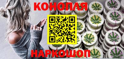 крисы Кингисепп