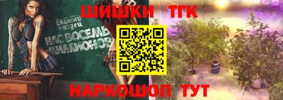 крисы Кингисепп