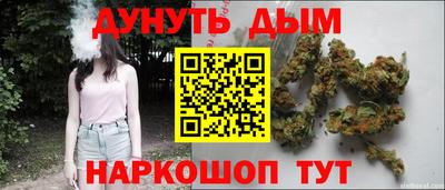 крисы Кингисепп