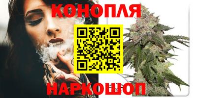 крисы Кингисепп