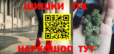 крисы Кингисепп