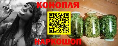 крисы Кингисепп