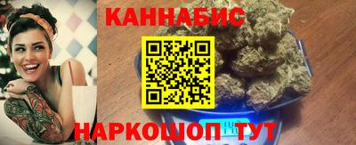 крисы Кингисепп