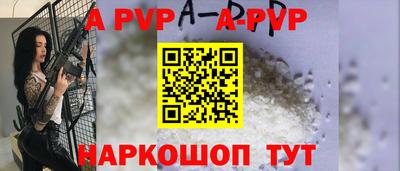 крисы Кингисепп