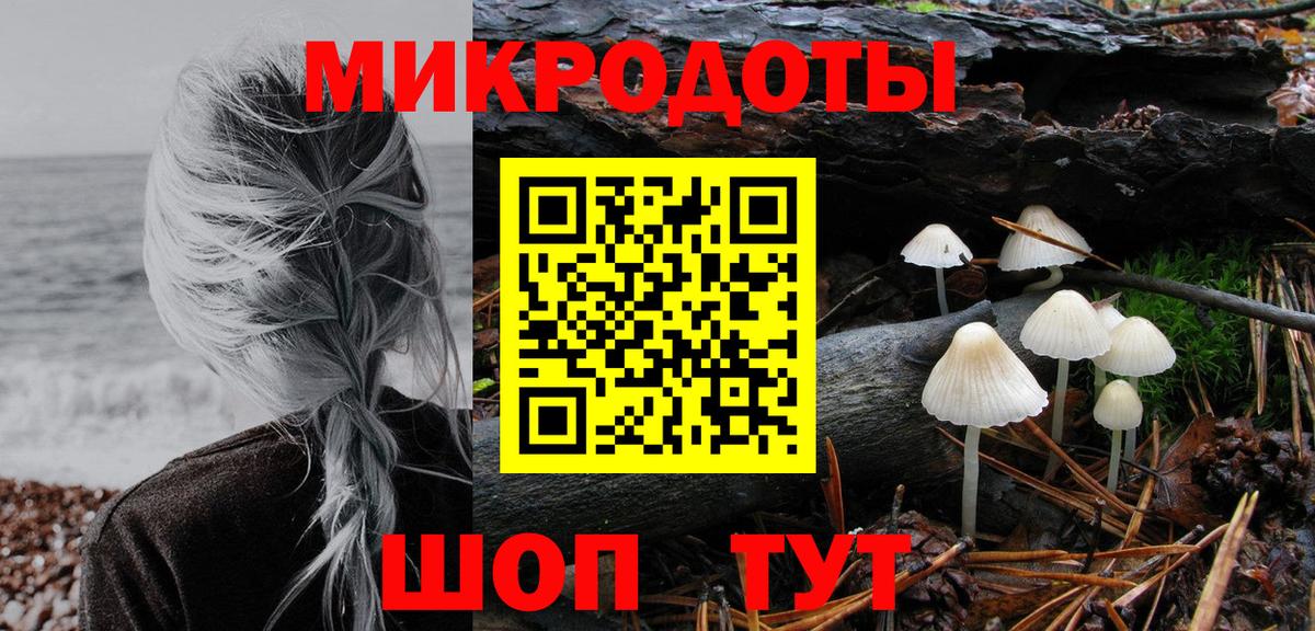 Королёв  Галлюциногенные грибы GOLDEN TEACHER  магазин продажи наркотиков  Вход с VPN 
