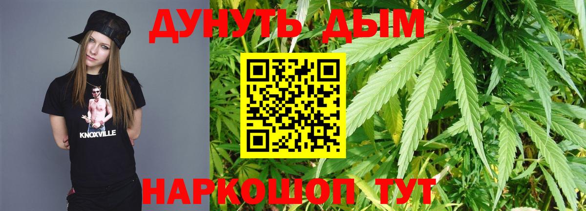 Каннабис конопля Королёв